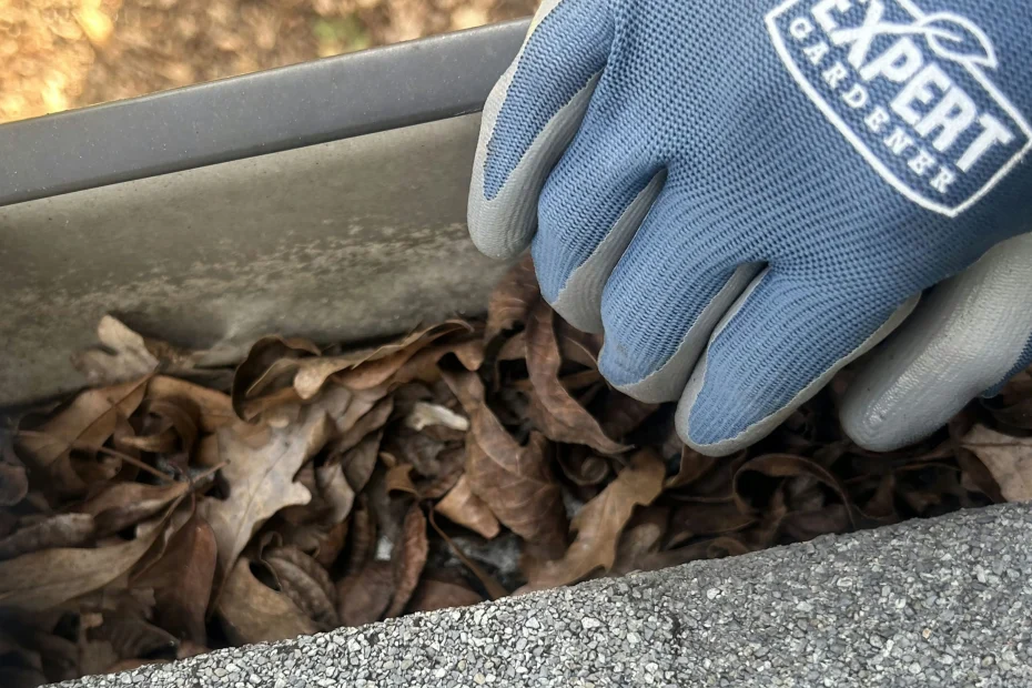 Gutter Cleaning Union Grove